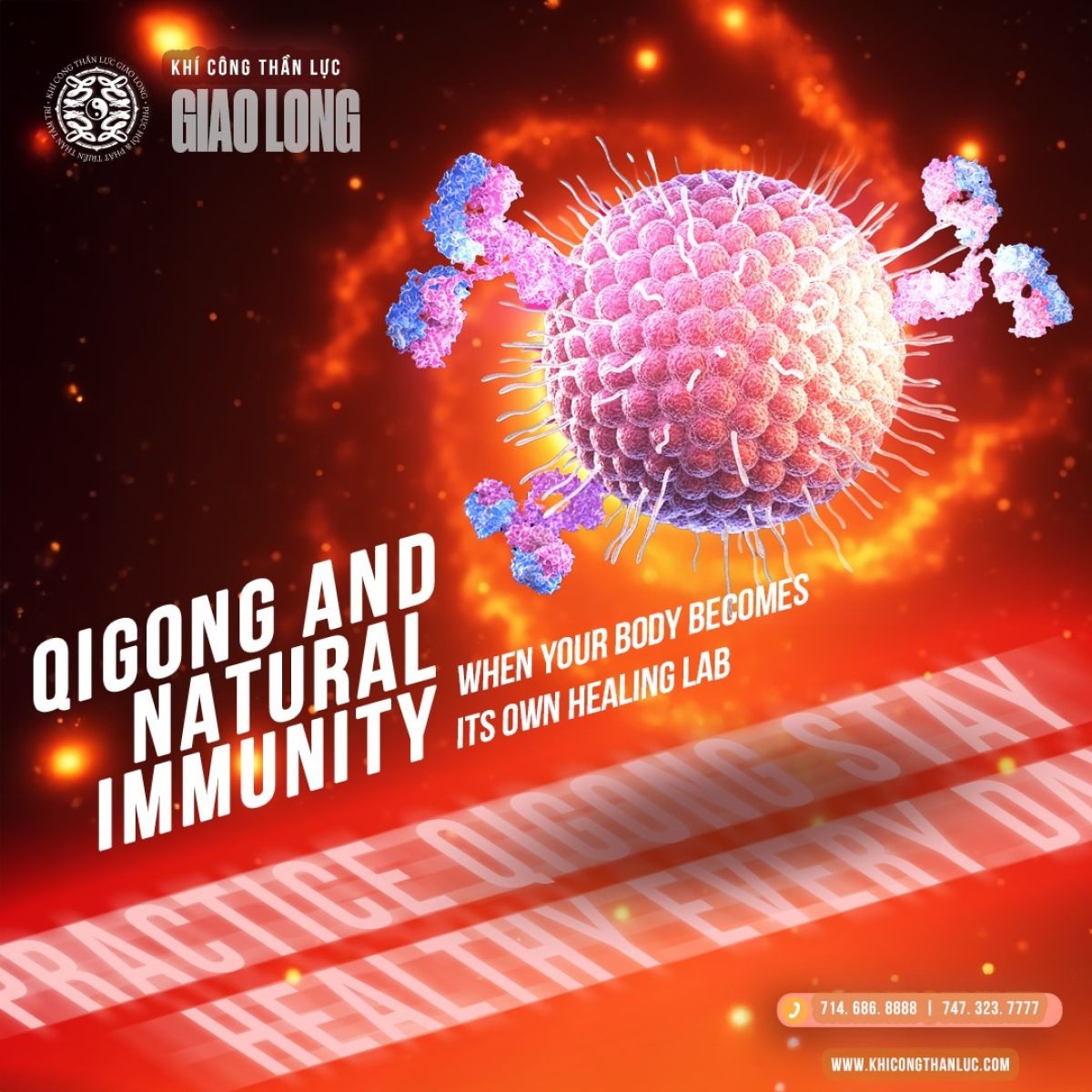 Khí Công và miễn dịch tự nhiên – Khi cơ thể trở thành phòng thí nghiệm chữa lành
