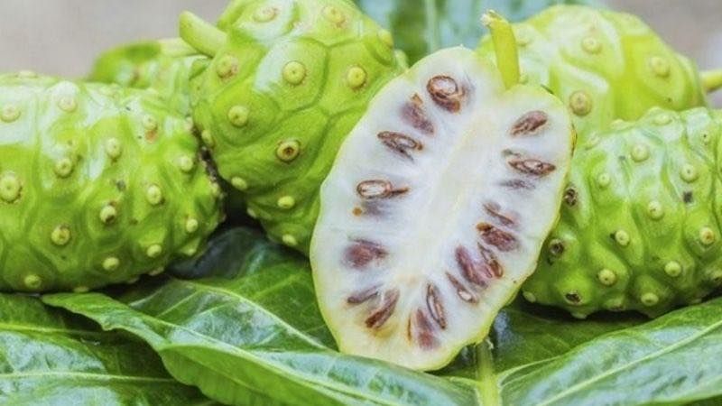 Bạn c&oacute; biết g&igrave; về c&ocirc;ng dụng của tr&aacute;i nh&agrave;u?